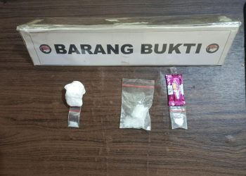 Polisi Gagalkan Peredaran Sabu di Pulomerak, IRT Asal Cilegon Diamankan